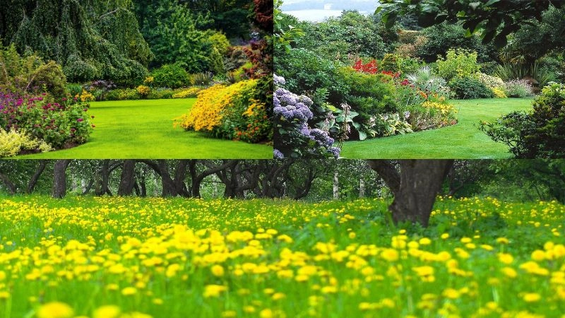 Thưởng thức không gian tươi mát với background vườn cây đẹp