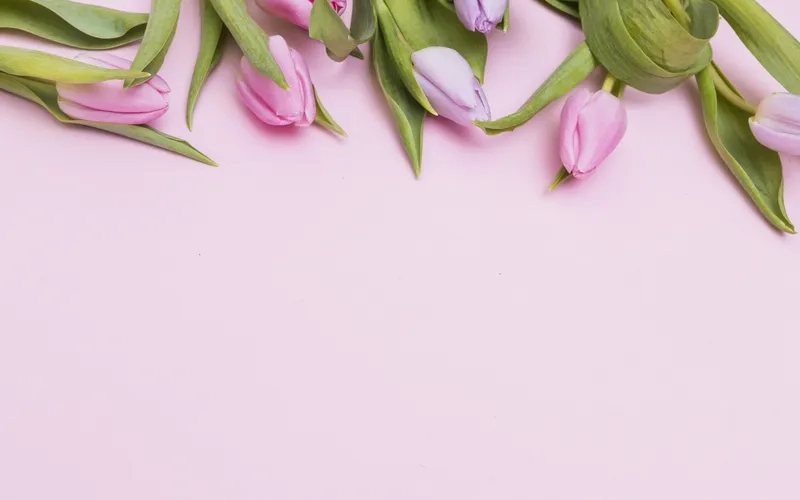 Background 8/3 in ấn sắc nét cho thiệp và banner