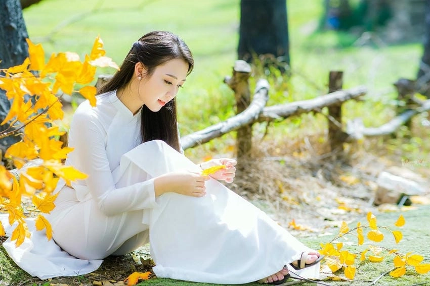 Background áo dài chụp ảnh giúp mọi khung hình hoàn hảo