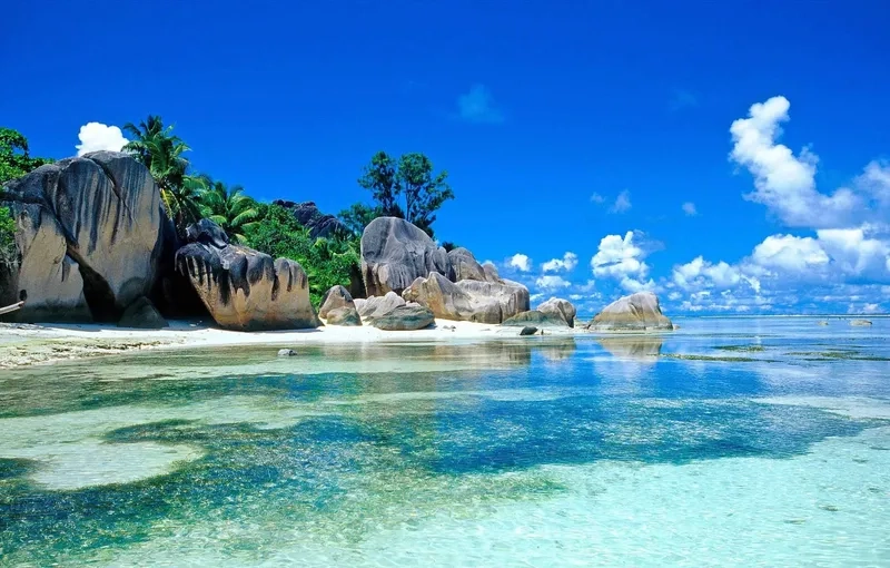 Thu hút mọi ánh nhìn với background bãi biển banner quảng cáo