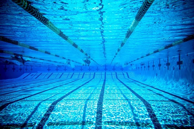 Chìm đắm trong background bơi lội dưới nước sống động