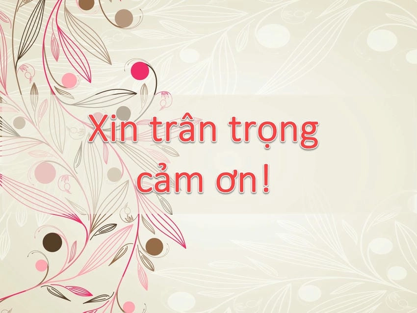 Background cảm ơn trang trọng thể hiện sự trân quý