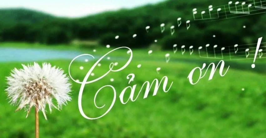 Background cảm ơn phông nền làm nổi bật thông điệp tri ân