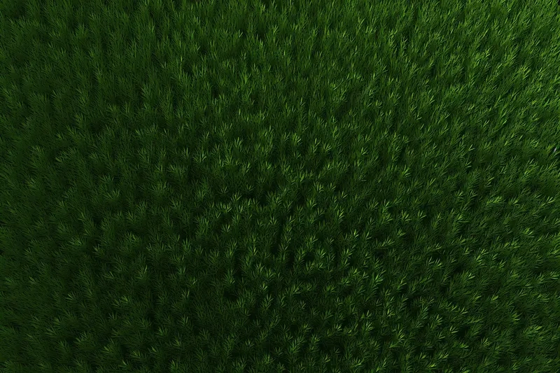 Banner nổi bật với background cây cỏ banner sinh động