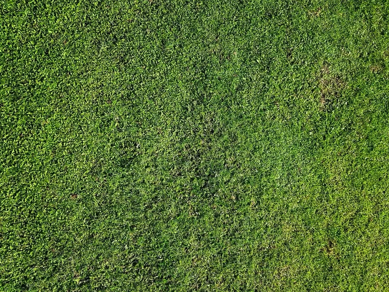 Trang cá nhân nổi bật với background cây cỏ facebook cover