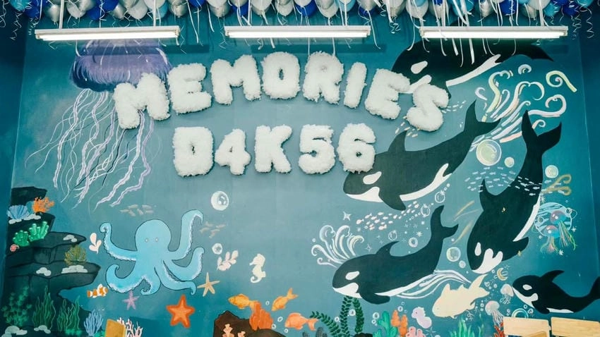 Background chụp kỷ yếu trong studio tinh tế