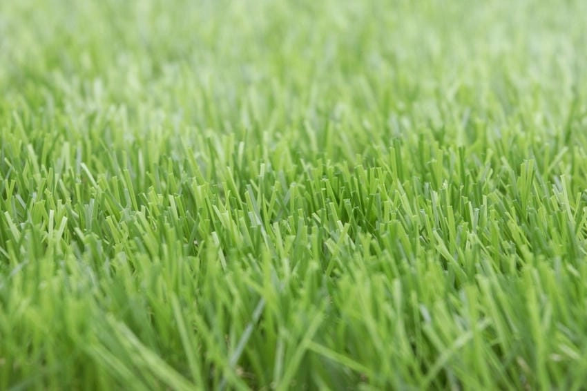 Background cỏ nhân tạo sân bóng đầy năng lượng