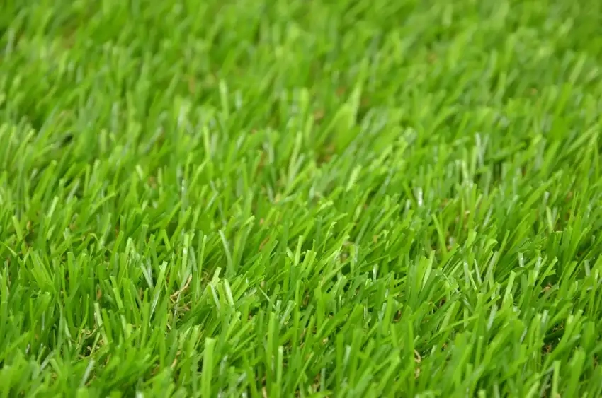 Background cỏ nhân tạo vector dễ chỉnh sửa theo ý