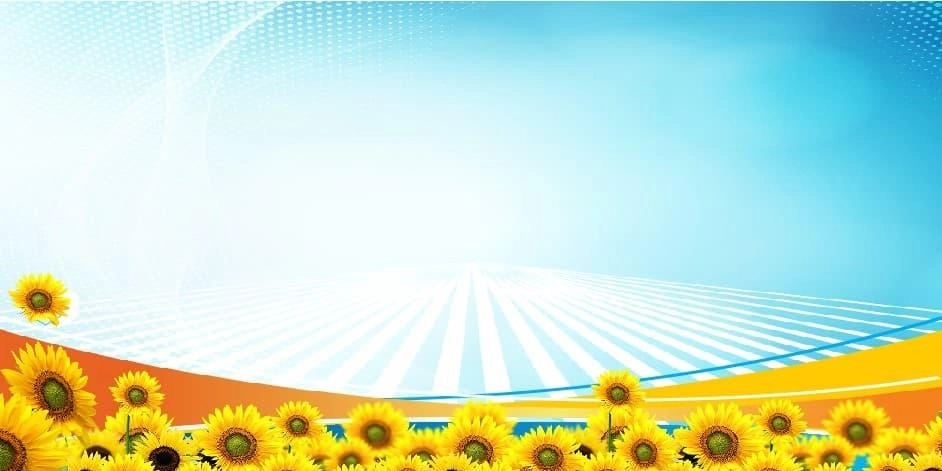 Background công đoàn ý nghĩa lan tỏa giá trị tập thể