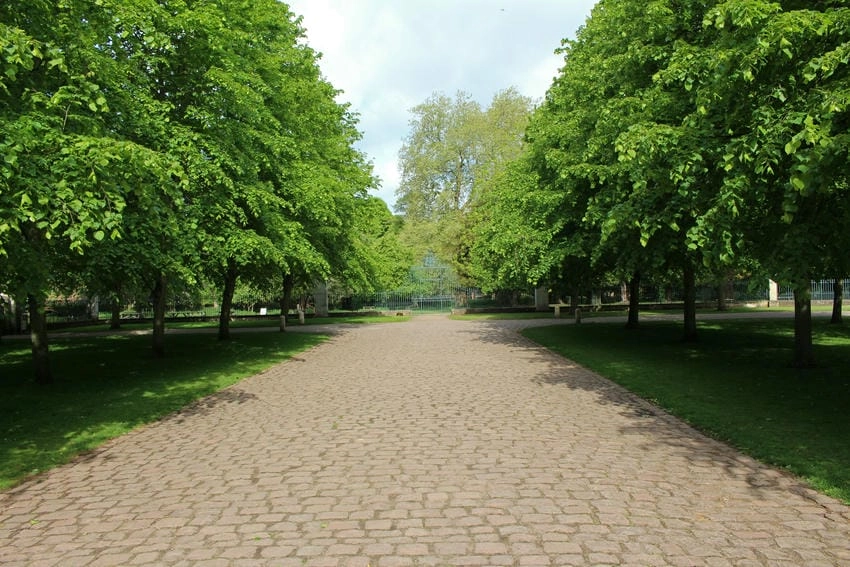 Background công viên tự nhiên thư giãn nhẹ nhàng