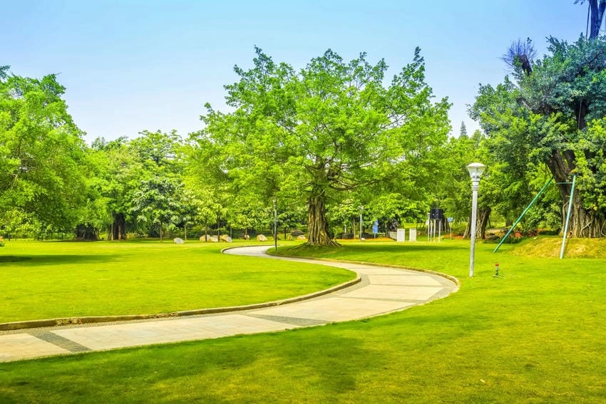 Background công viên 4k chi tiết sống động tuyệt vời