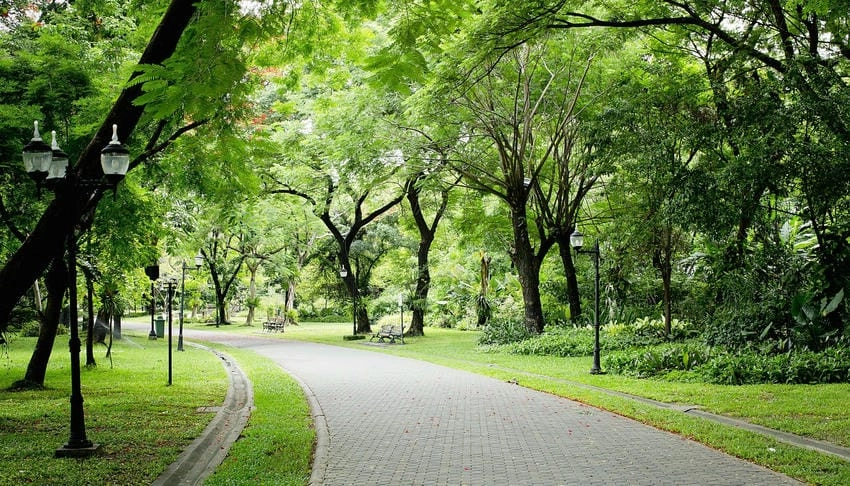 Background công viên thiết kế hiện đại và sáng tạo