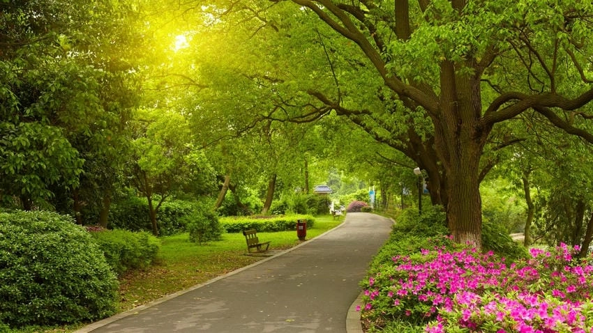 Background công viên đơn giản nhưng vẫn đẹp mắt