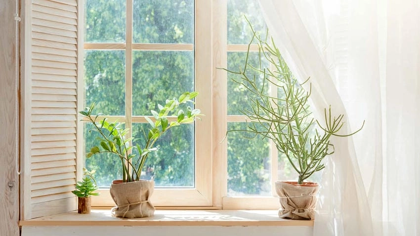 Background cửa sổ đa năng phù hợp nhiều mục đích