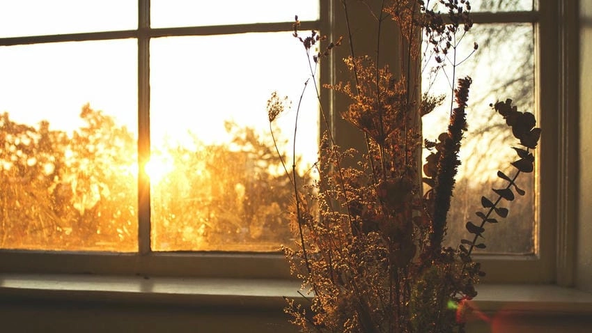 Background cửa sổ ý tưởng sáng tạo độc đáo