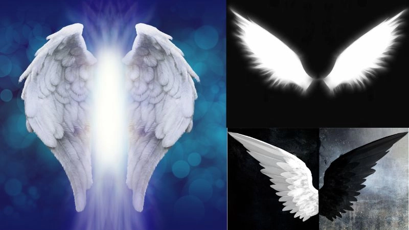 Hóa thiên sứ với background đôi cánh thiên thần đẹp lung linh tỏa sáng