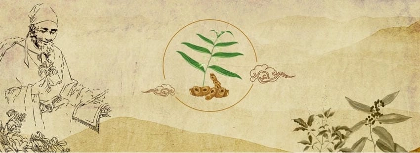 Background đông y đơn giản nhưng vẫn rất ấn tượng