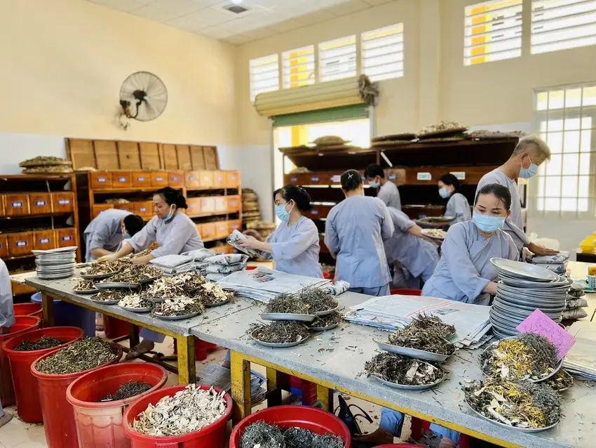 Background đông y hiện đại kết hợp phong cách mới