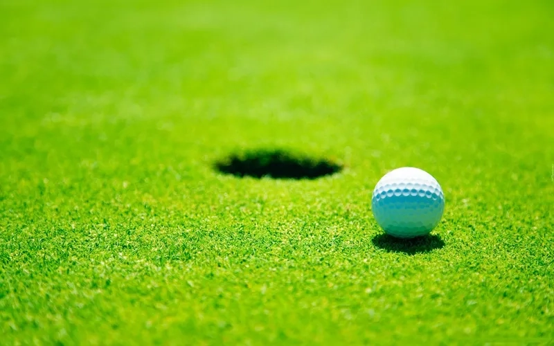 Background golf sân cỏ xanh mướt mang cảm giác tự nhiên sống động
