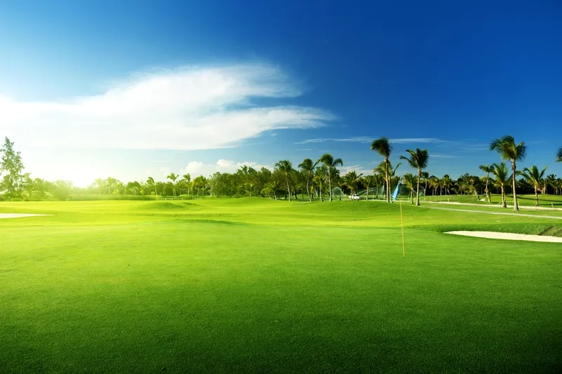 Background golf thiết kế sẵn giúp tiết kiệm thời gian sáng tạo