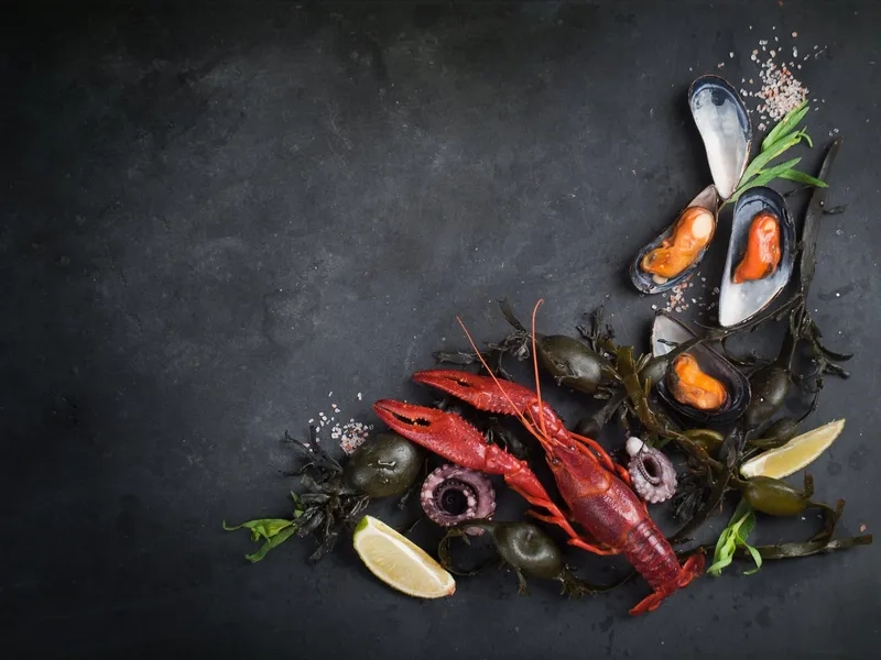 Phong cách hiện đại với background hải sản tối giản sang trọng