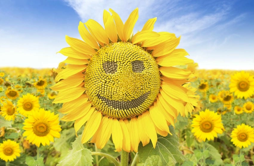 Background hạnh phúc lan tỏa năng lượng yêu thương