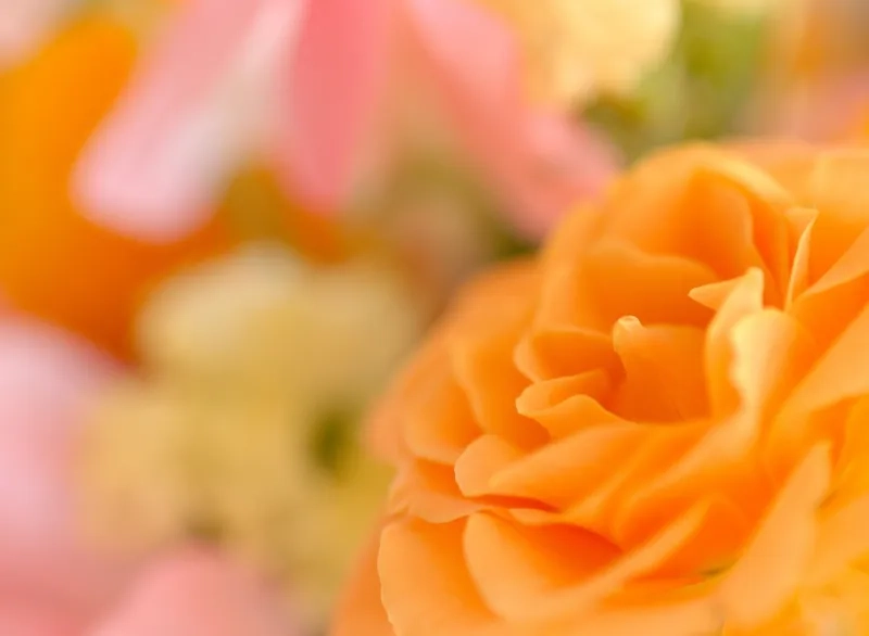 Khám phá background hoa cam trừu tượng đầy sáng tạo