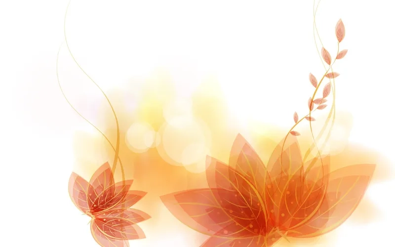 Phong cách tự do với background hoa cam boho nghệ thuật