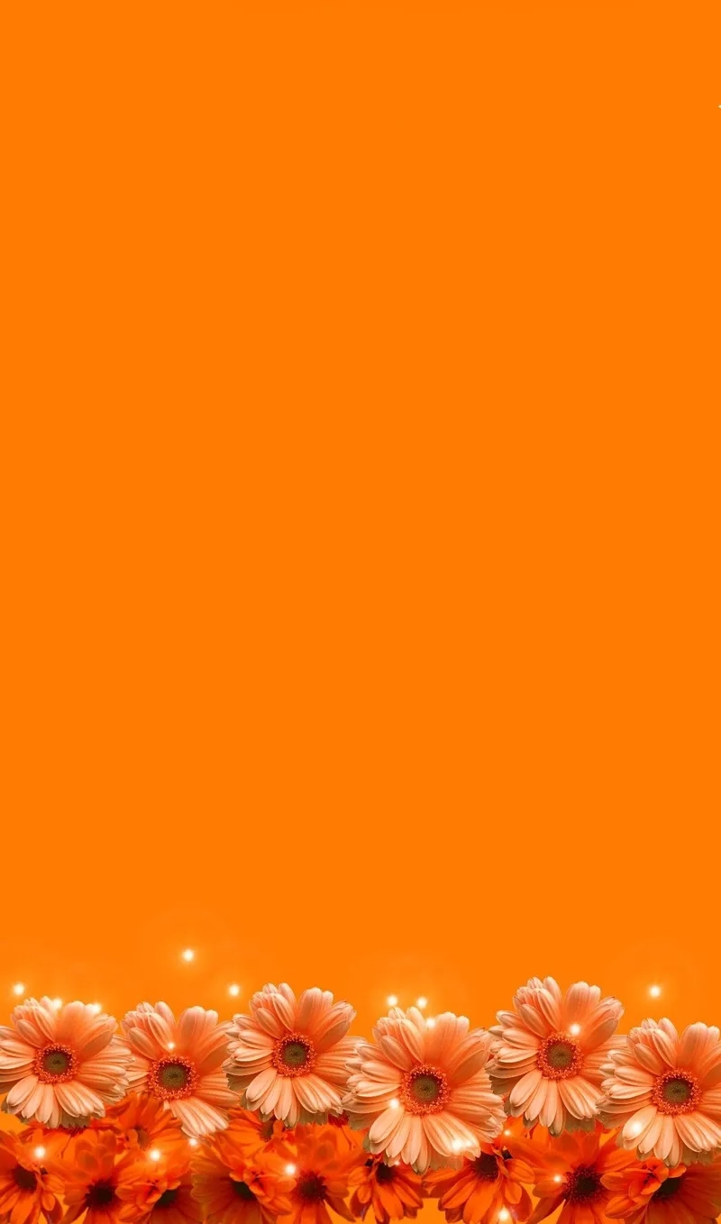 Nhẹ nhàng và tinh tế với background hoa cam hoa nhỏ