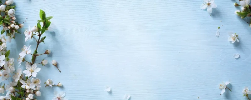 Background hoa chào xuân tĩnh tinh tế và trang nhã