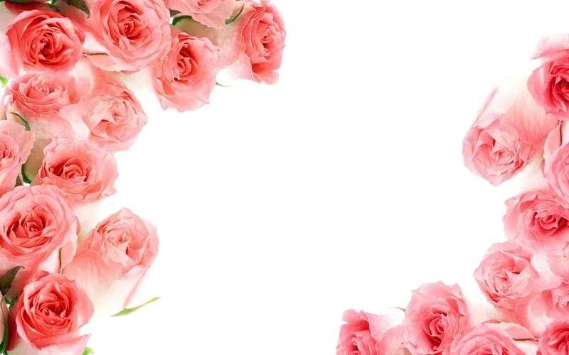 Đón năm mới may mắn cùng background hoa chúc mừng năm mới