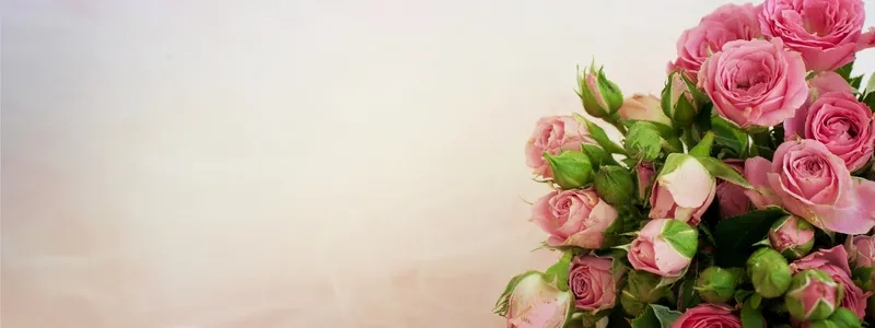 Gắn kết nơi công sở cùng background hoa chúc mừng đồng nghiệp