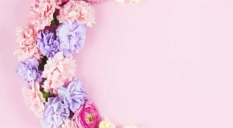 Sự tối giản tinh tế cùng background hoa chúc mừng minimal