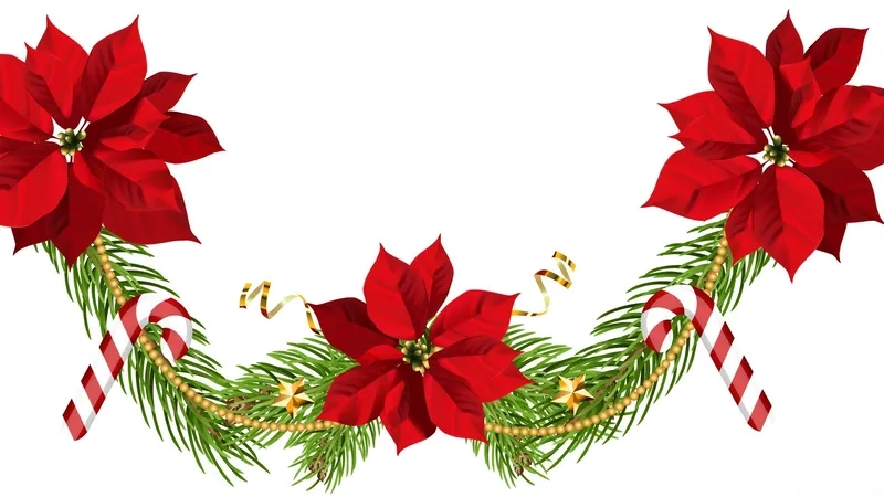 Background hoa Giáng sinh mẫu vector miễn phí dễ tải