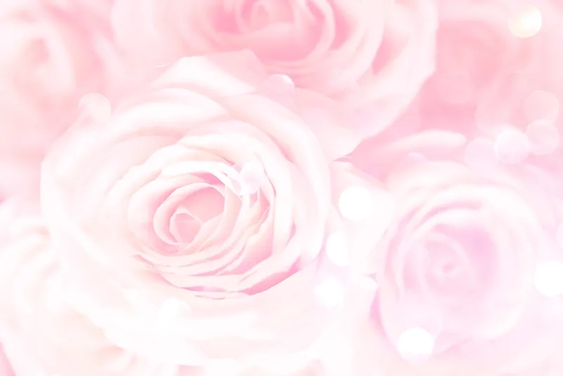 Background hoa hồng vintage cổ điển mang đậm hơi thở hoài niệm