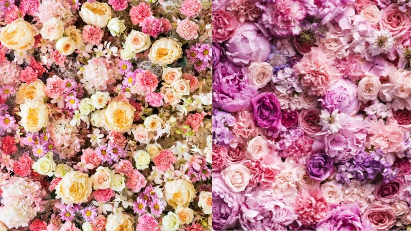 Thưởng thức background hoa lá đẹp nhẹ nhàng và tươi sáng