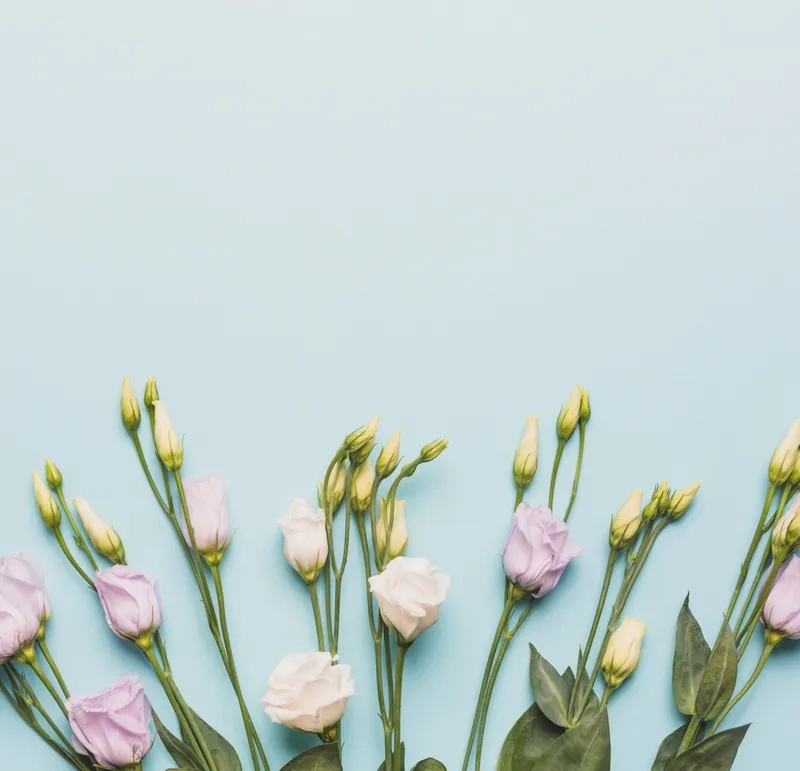 Màn hình rực rỡ với background hoa minimal pastel flower