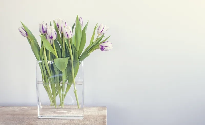 Website thêm tinh tế nhờ background hoa minimal cho website