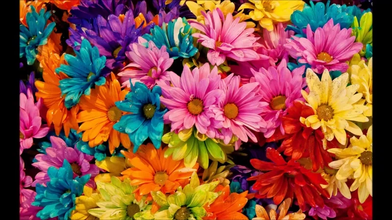 Mang đến không gian tươi mới với background hoa rực rỡ màu sắc