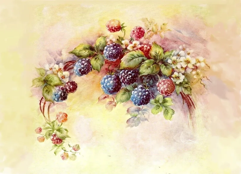 Background trái cây đẹp mắt, tươi ngon cho mọi thiết kế