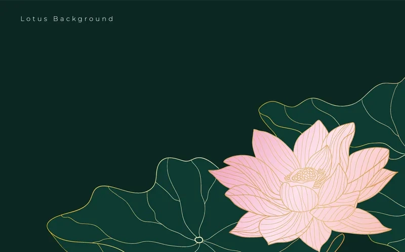 Background hoa sen nghệ thuật mang đậm dấu ấn sáng tạo và thẩm mỹ