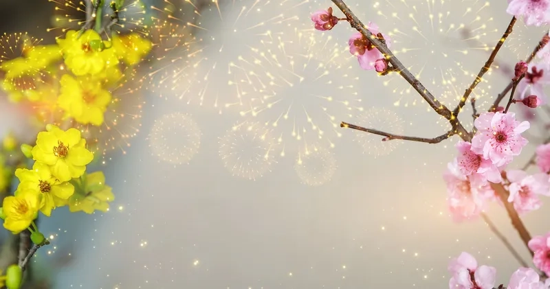 Thu hút khách hàng với background hoa Tết showroom nổi bật