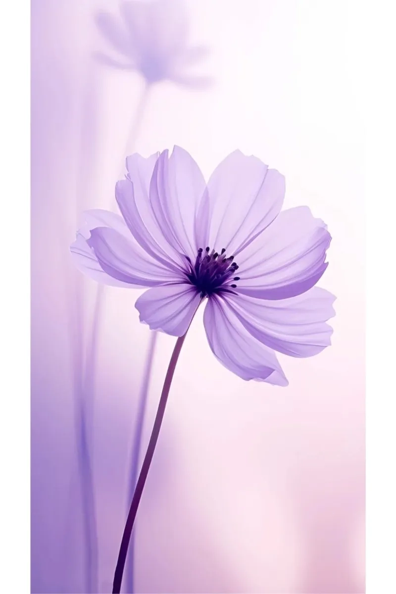 Hình nền hoa tím matelaser ánh kim lấp lánh ấn tượng