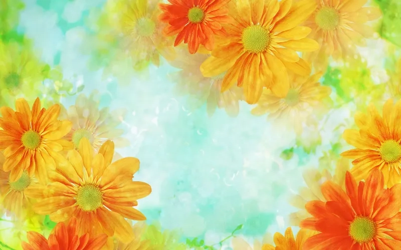 Rạng rỡ và ấm áp trong ánh sáng với background hoa tươi tone vàng