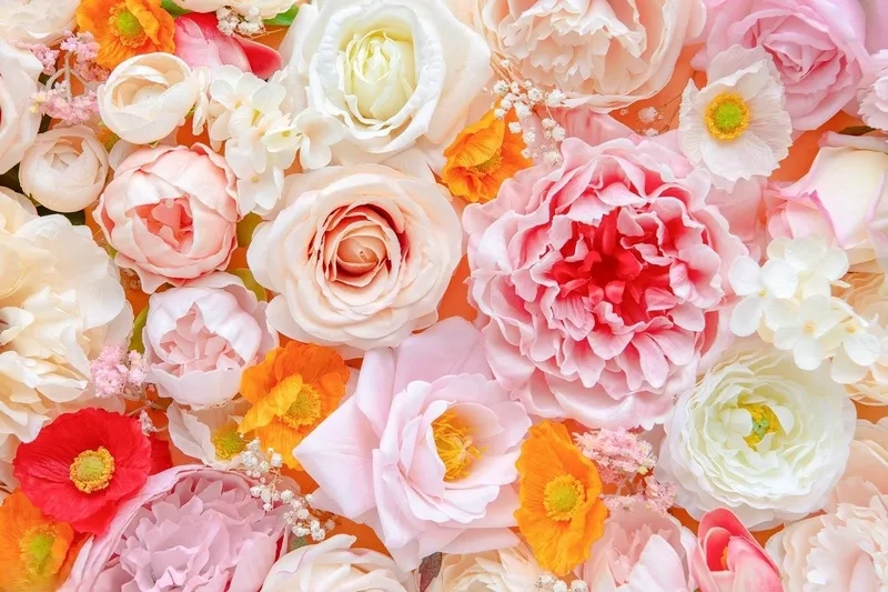 Góc sống ảo hoàn hảo cùng background hoa tươi backdrop check in