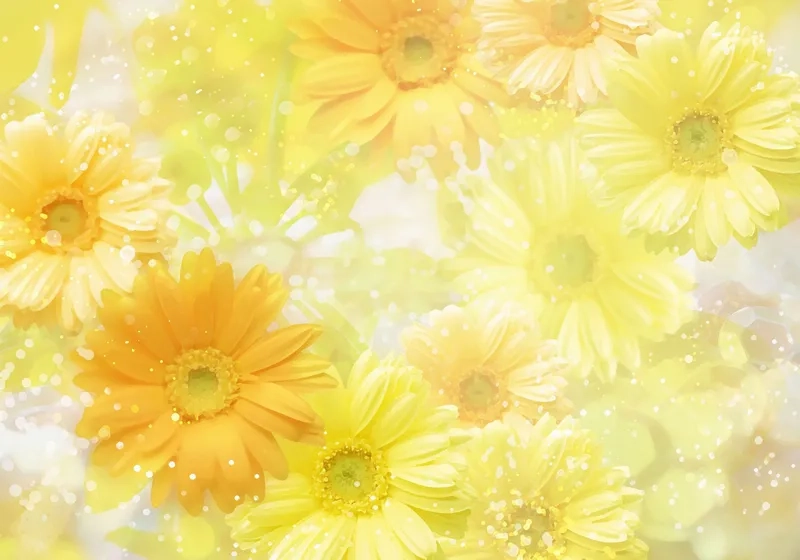 Nền nhẹ nhàng với background hoa vàng nhạt tinh tế