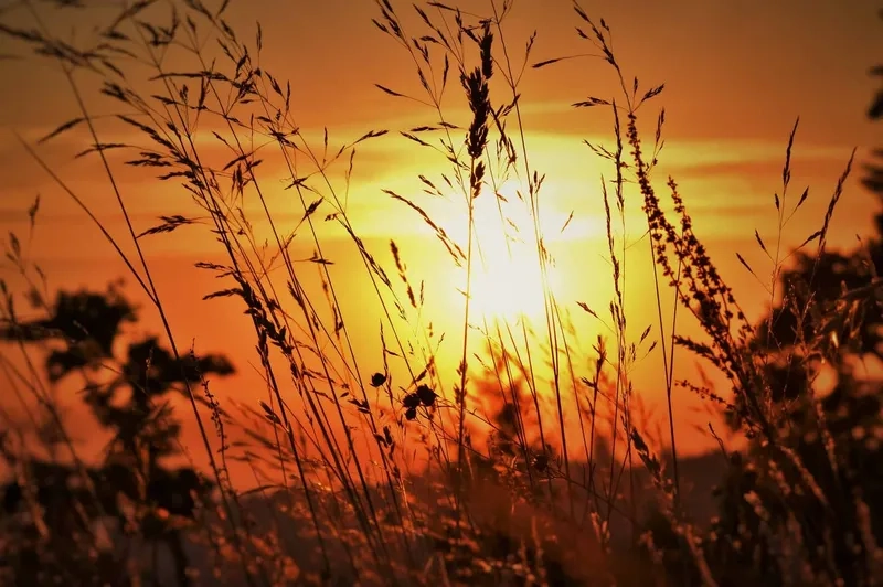 Background hoàng hôn gradient chuyển màu mềm mại và cuốn hút