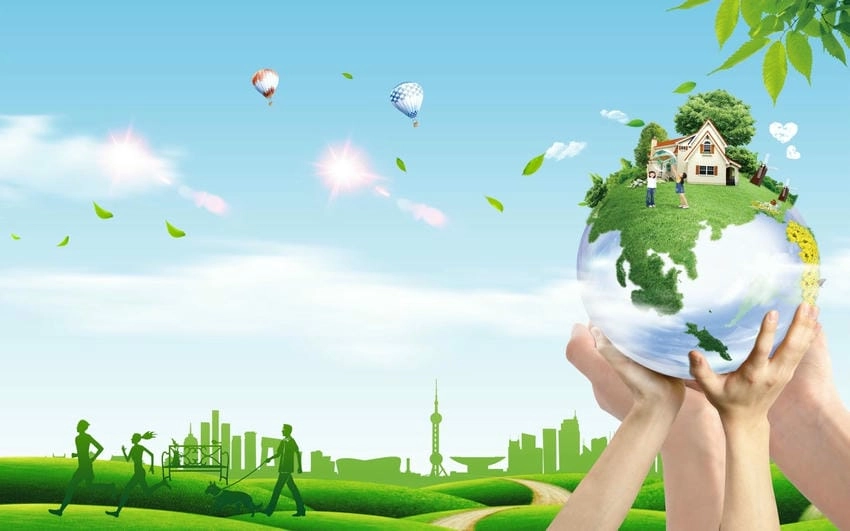 Background môi trường xanh tươi mát và trong lành