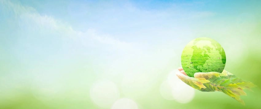 Background môi trường đẹp nổi bật và bắt mắt