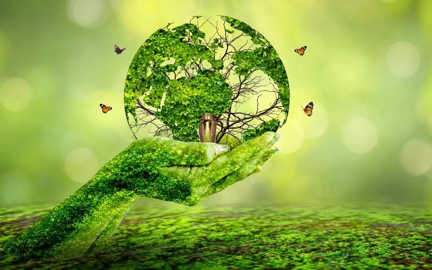 Background môi trường đa năng phù hợp nhiều mục đích